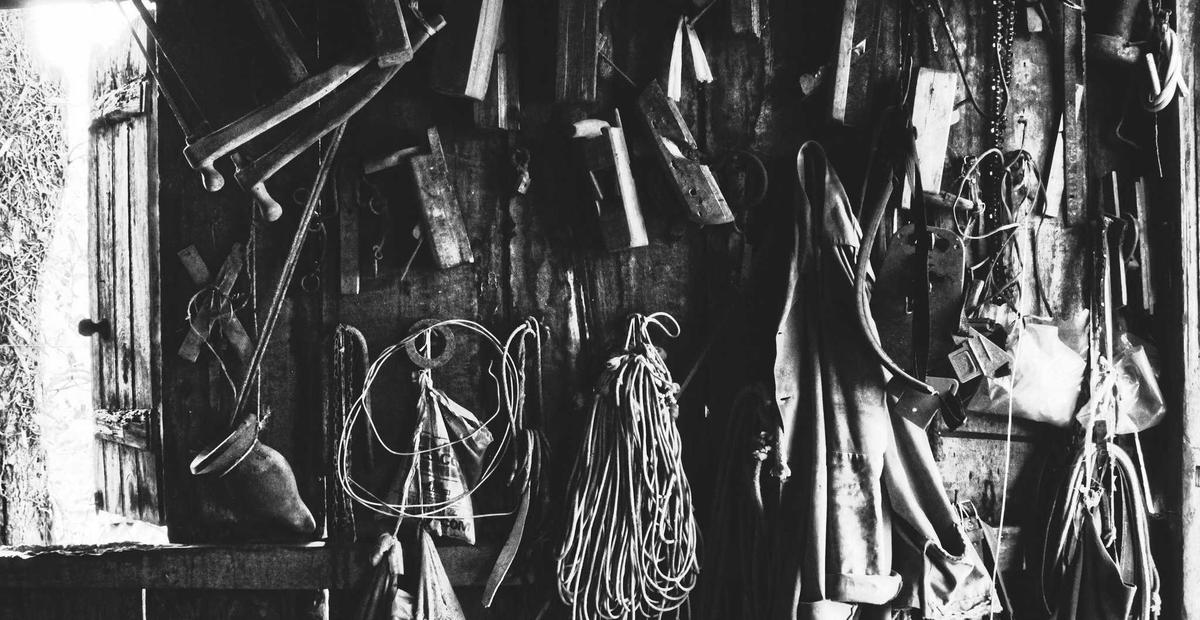 A season sourcing in Guji — illustrative demo image